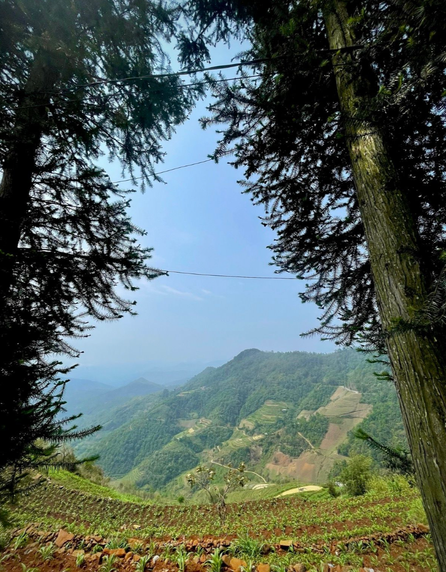 Fietsreis Ha Giang: De Ultieme Gids voor een Avontuur door Noord-Vietnam